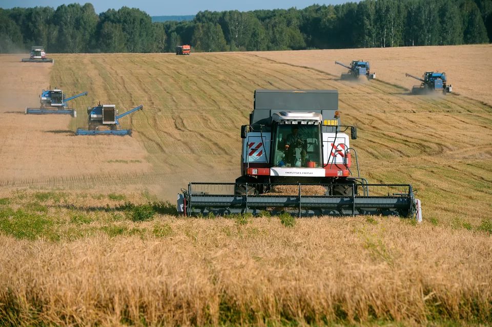 Інформація  про хід метеорологічних умов та стан сільськогосподарських культур у господарствах Херсонської області на 15 липня 2020 року